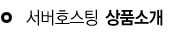 서버호스팅상품소개