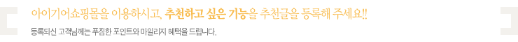 부연설명 