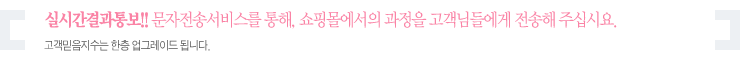 부연설명
