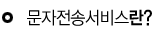 문자전송서비스란