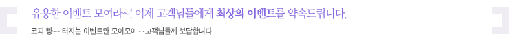 부연설명